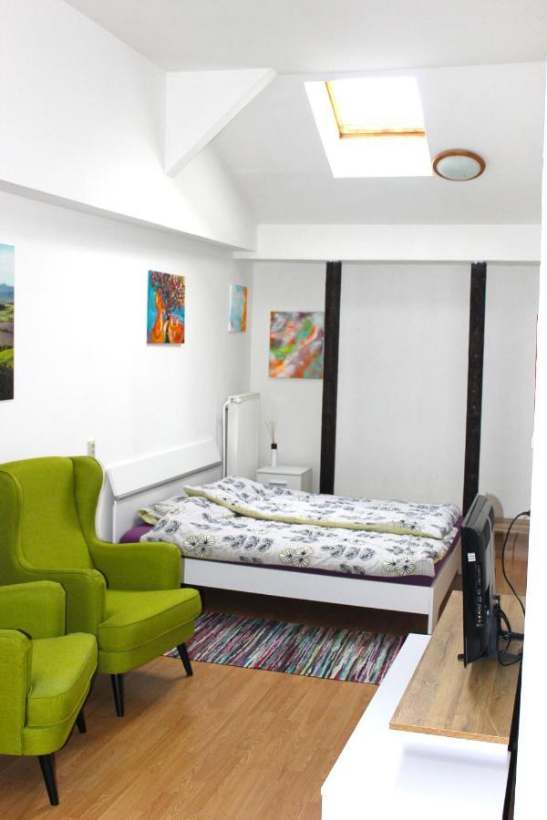 Krasny Priestranny Slnecny Apartman V Centre Mesta Trenčín Exterior foto
